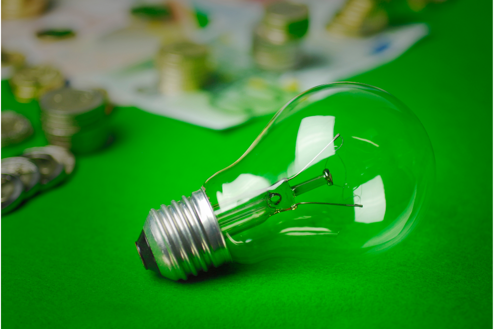 Waste to Energy | Bonza Bins